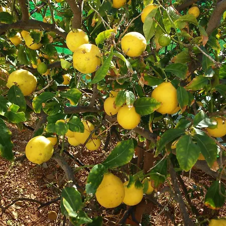 Sarris Planet Apartman