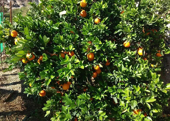 Sarris Planet Апартаменты Эрмуполис