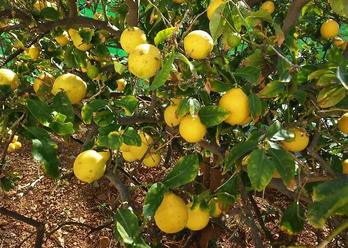 Sarris Planet Апартаменты