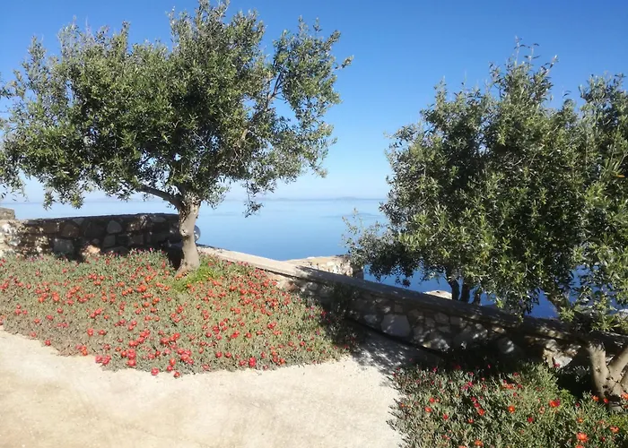 Apartamento Sarris Planet Hermópolis